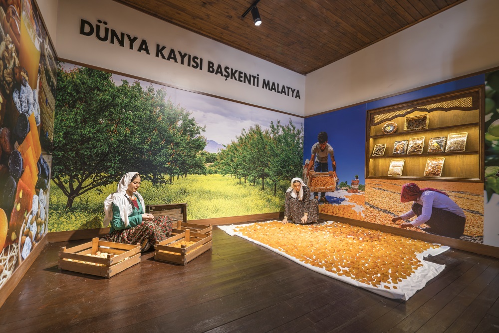 Malatya Kültür Evi
